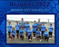 MCS 2022 - Dragons